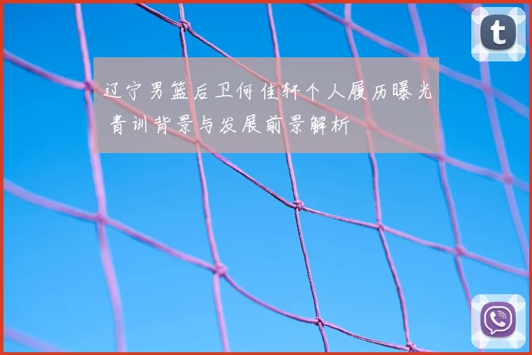 辽宁男篮后卫何佳轩个人履历曝光 青训背景与发展前景解析