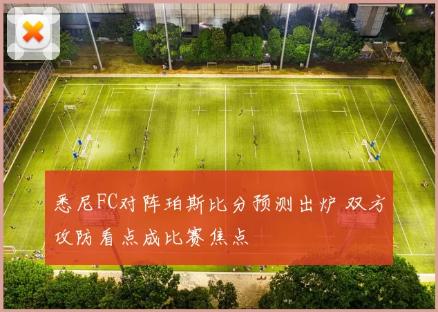 悉尼FC对阵珀斯比分预测出炉 双方攻防看点成比赛焦点